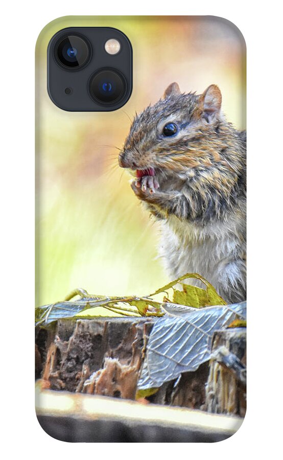 Chipmunk iPhone 13 Case featuring the photograph Chipmunk by Michelle Wittensoldner
