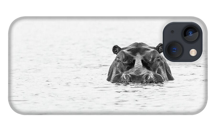  S Africa iPhone 13 Case featuring the photograph Chobe River Hippo by Timothy Hacker