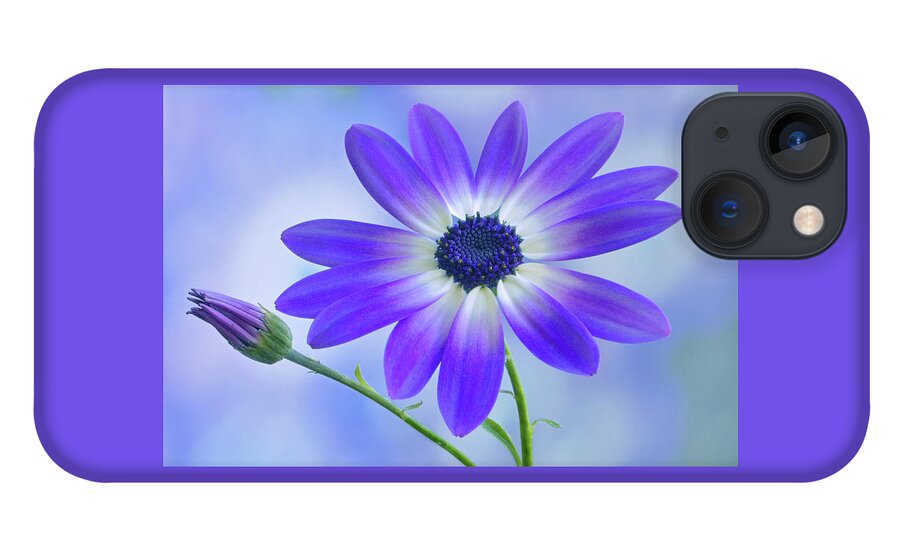 Senetti iPhone 13 Case featuring the photograph Classic Senetti by Terence Davis