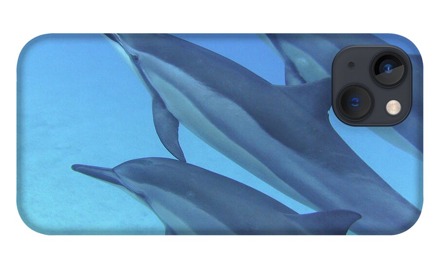 Underwater iPhone 13 Case featuring the photograph Close Formation by Photo By Barry Fackler