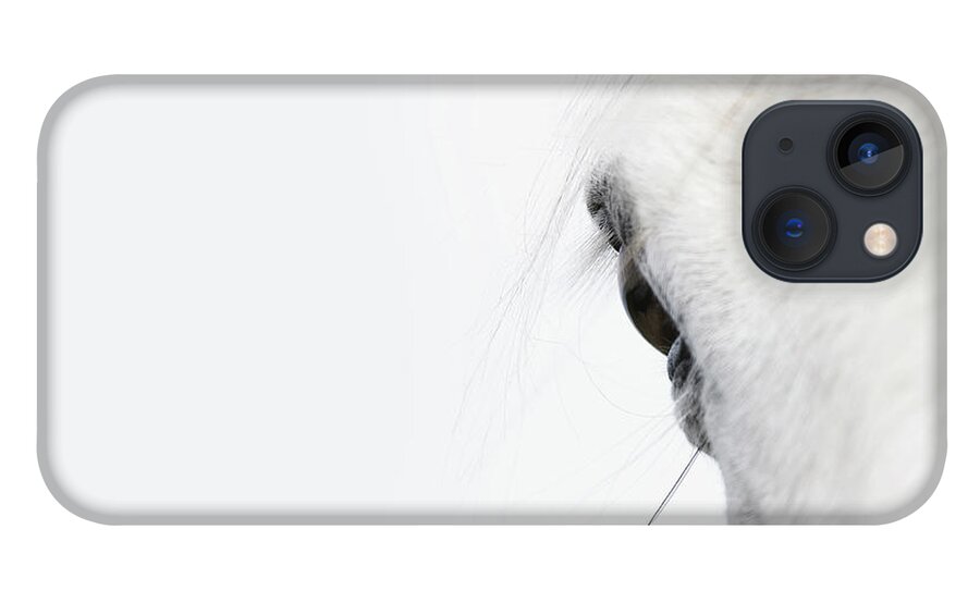 Horse iPhone 13 Case featuring the photograph Close Up Of A Welsh Mountain Pony by Andrew Bret Wallis