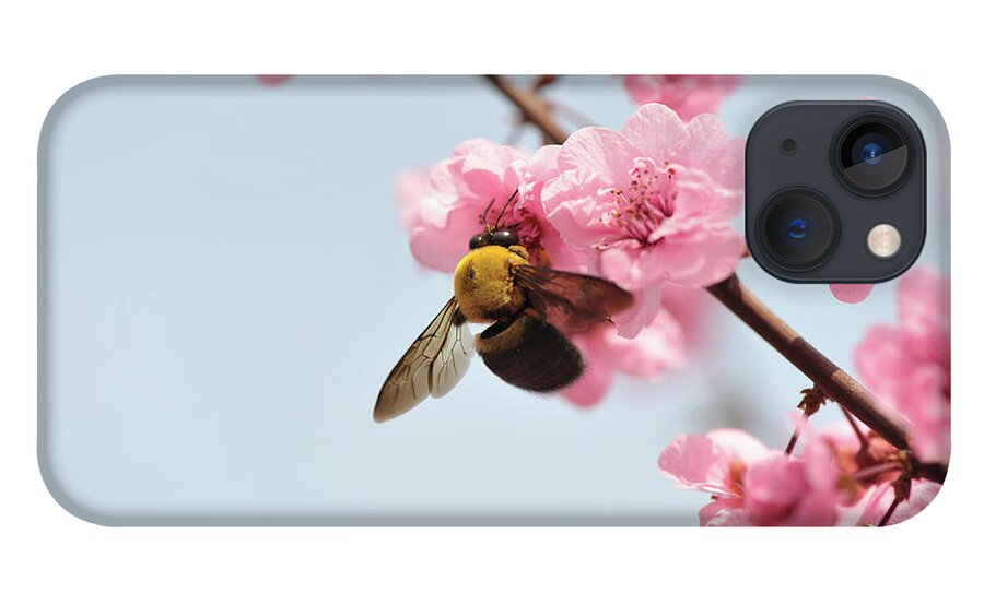 Insect iPhone 13 Case featuring the photograph Close Up Of Bee Feeding On Peach Blossom by Fang Zhou