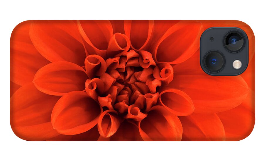 Orange Color iPhone 13 Case featuring the photograph Close Up View Of An Orange Dahlia by Mike Hill