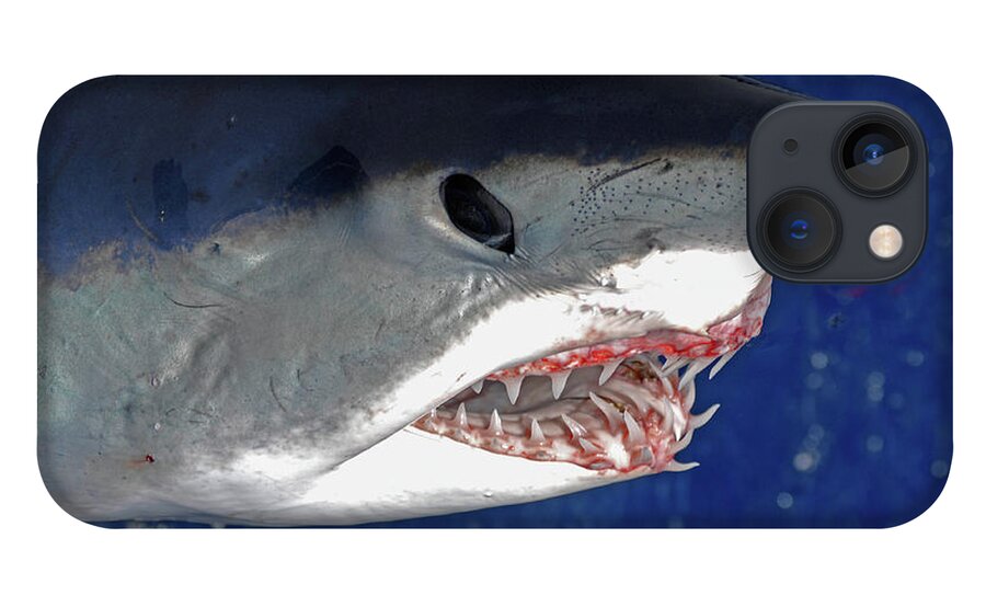 Shark iPhone 13 Case featuring the photograph Closeup Of Mako Shark by David Shuler