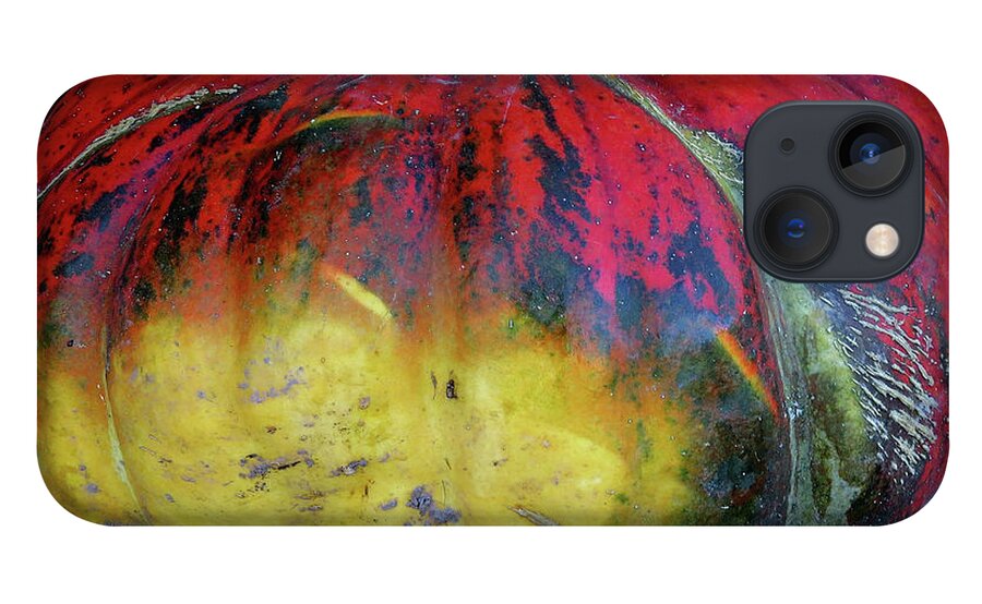 Large Squash iPhone 13 Case featuring the photograph Colorful Designer Squash by Linda Stern