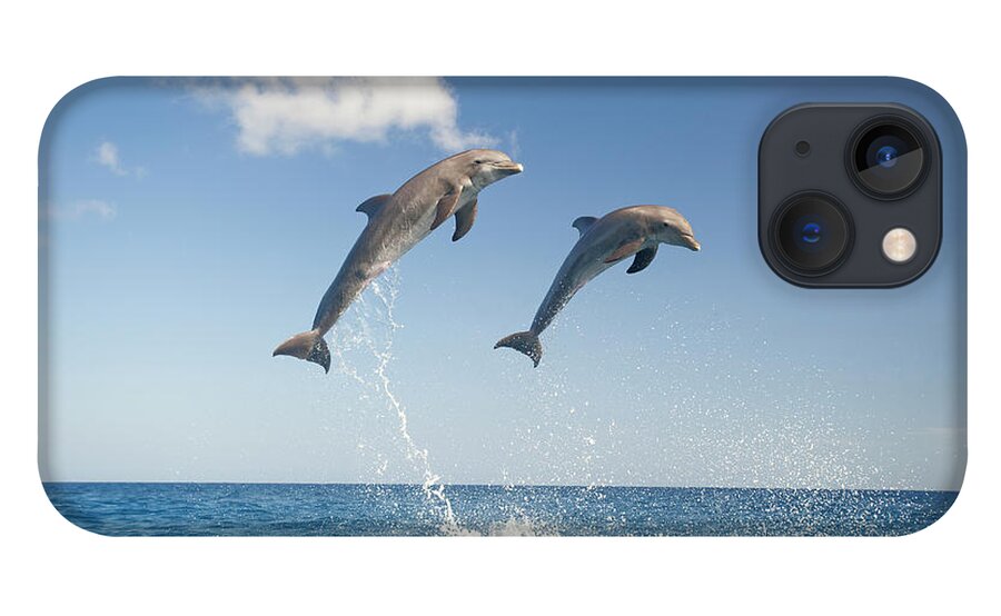 Aerodynamic iPhone 13 Case featuring the photograph Common Bottlenose Dolphins Tursiops by Mike Hill