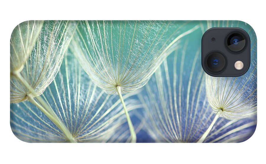 Outdoors iPhone 13 Case featuring the photograph Dandelion Seed by Aydinmutlu