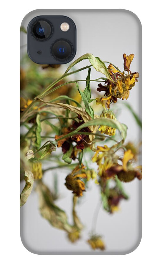 The End iPhone 13 Case featuring the photograph Dead Flowers by Halfdark