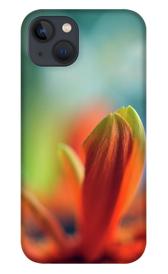 Orange iPhone 13 Case featuring the photograph Decision by Michelle Wermuth
