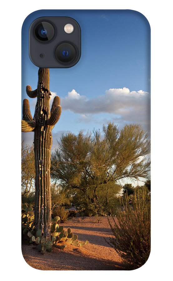 Saguaro Cactus iPhone 13 Case featuring the photograph Desert Landscape Late Afternoon by Rasimon