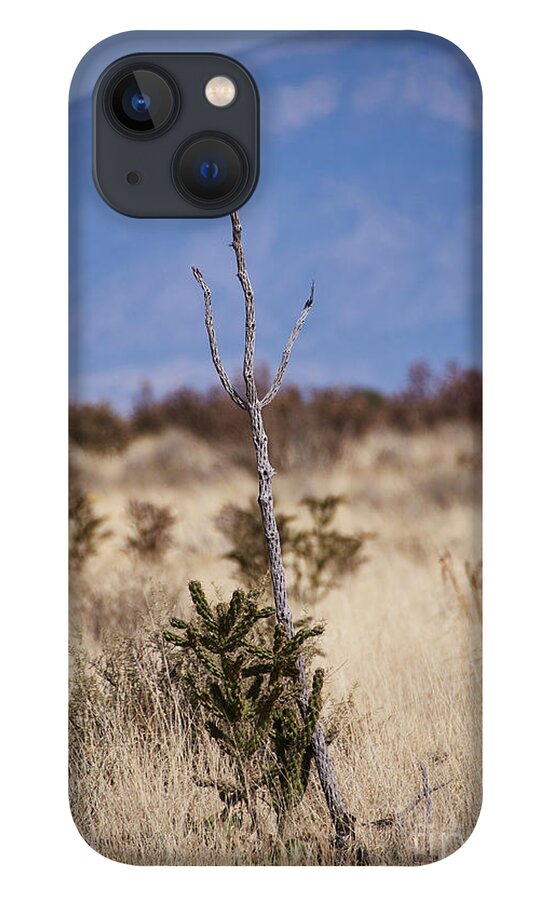 New Mexico Desert iPhone 13 Case featuring the photograph Desert Trident by Robert WK Clark