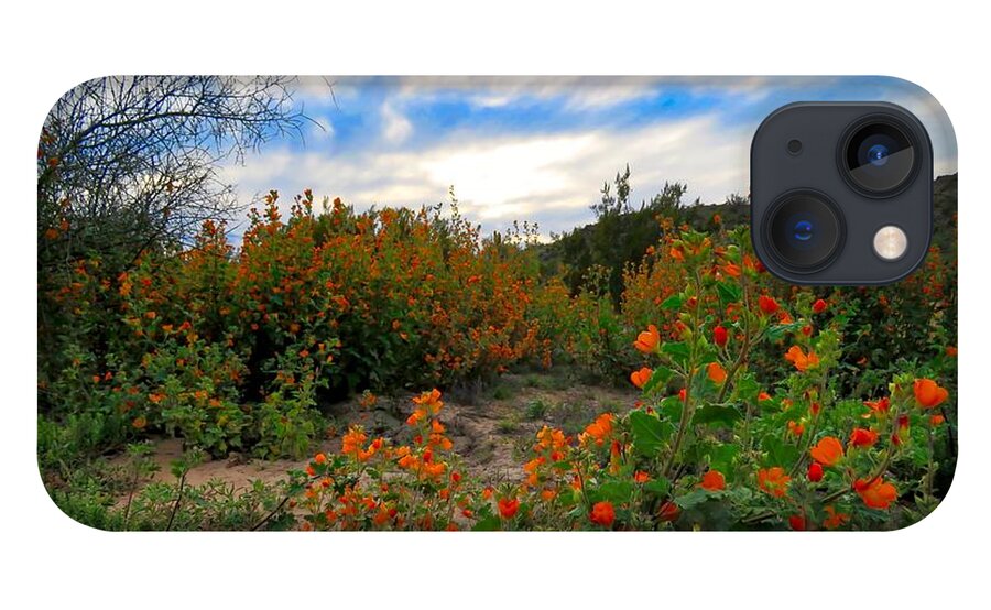 Arizona iPhone 13 Case featuring the photograph Desert Wildflowers in the Valley by Judy Kennedy