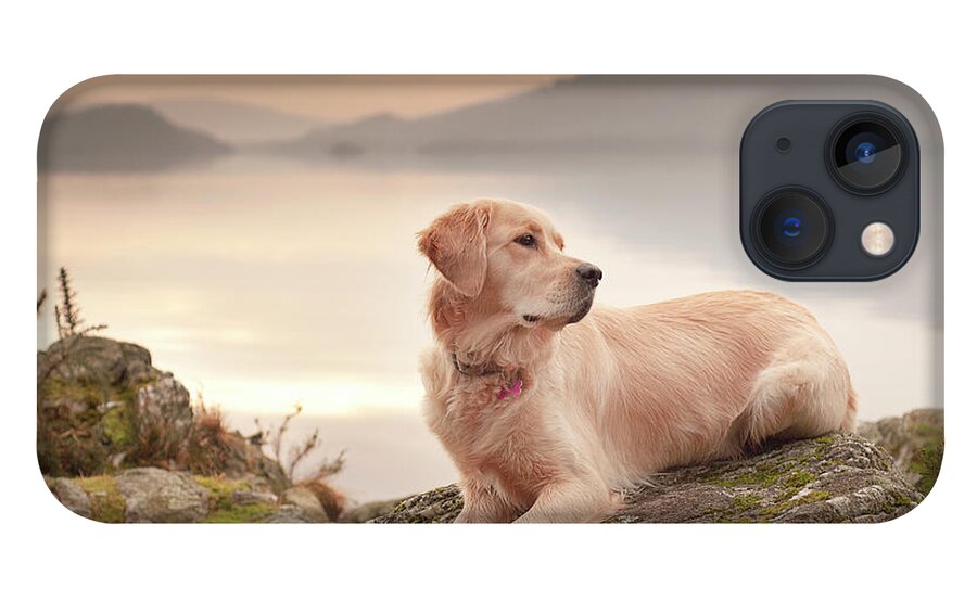 Grass iPhone 13 Case featuring the photograph Dog At Sunset by Image Copyright Of S Turner