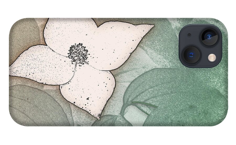 Kousa iPhone 13 Case featuring the digital art Dogwood Flower Stencil on Sandstone by Jason Fink