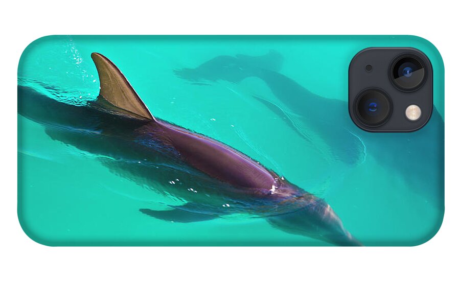 Tranquility iPhone 13 Case featuring the photograph Dolphins Gliding Through The Caribbean by Stuart Dee