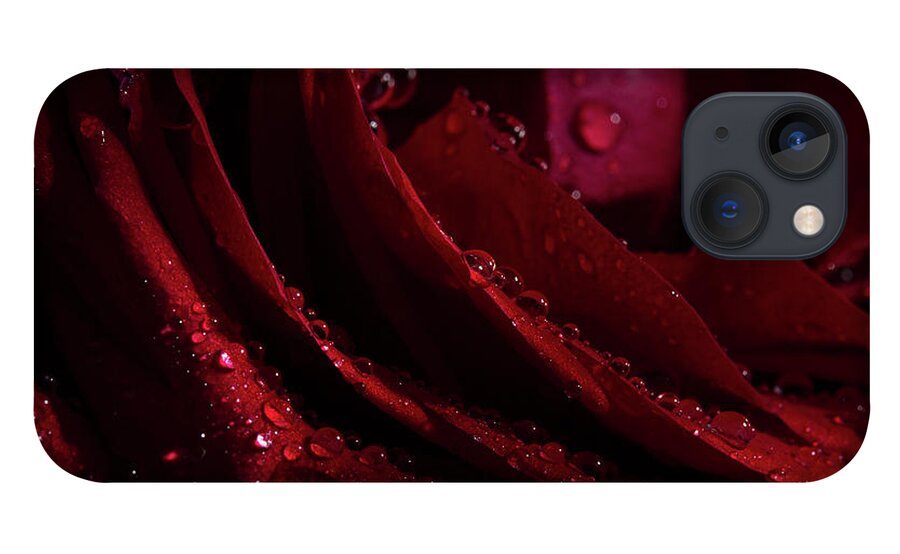 Rose iPhone 13 Case featuring the photograph Droplets On The Edge by Mike Eingle