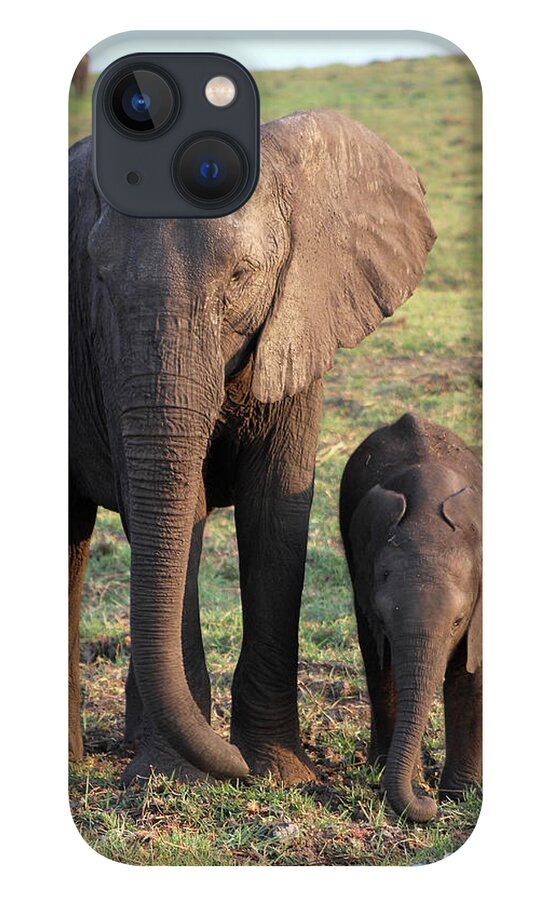  iPhone 13 Case featuring the photograph Elephant with Baby by Eric Pengelly