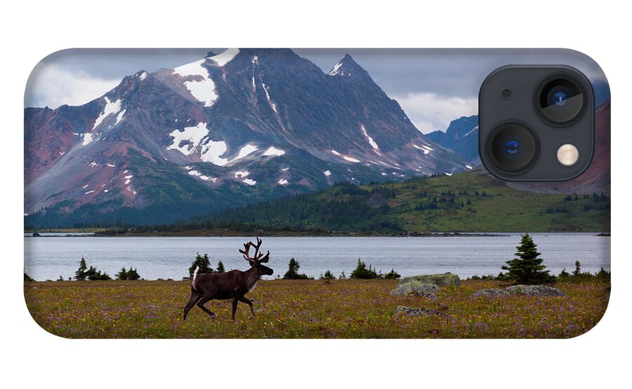 Standing Water iPhone 13 Case featuring the photograph Elk, Jasper National Park, Alberta by Mint Images/ Art Wolfe