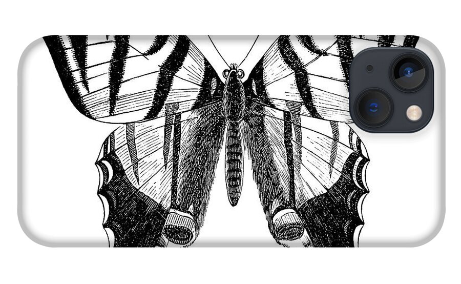 Etching iPhone 13 Case featuring the digital art Engraving Of Butterfly Sail Swallowtail by Grafissimo