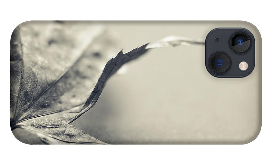 Black And White iPhone 13 Case featuring the photograph Entranced by Michelle Wermuth