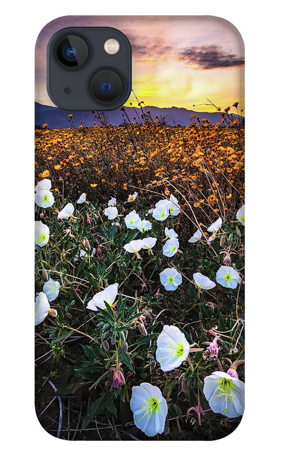 Flora iPhone 13 Case featuring the photograph Evening with Primroses by Jason Roberts