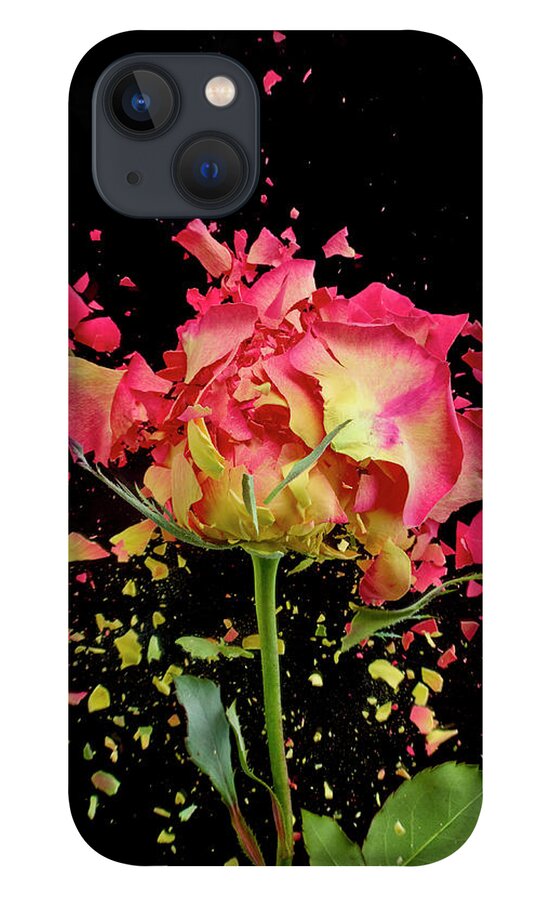 Black Background iPhone 13 Case featuring the photograph Exploding Rose by Don Farrall