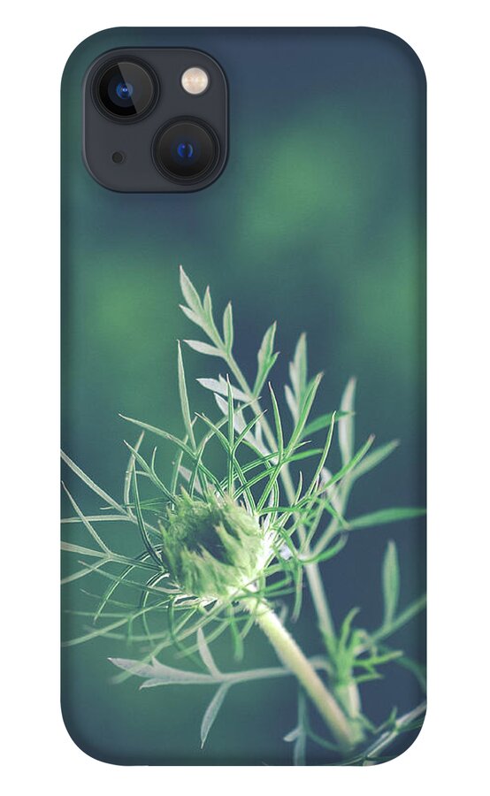 Nature iPhone 13 Case featuring the photograph Fascinate by Michelle Wermuth