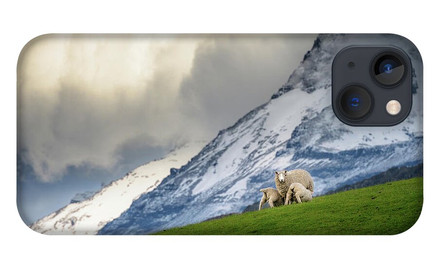 Grass iPhone 13 Case featuring the photograph Feeding by Nitichuysakul Photography