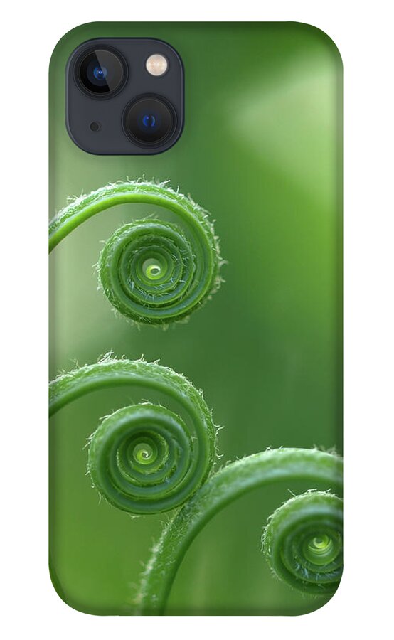 Natural Pattern iPhone 13 Case featuring the photograph Fern In Forest by © Machel Spence