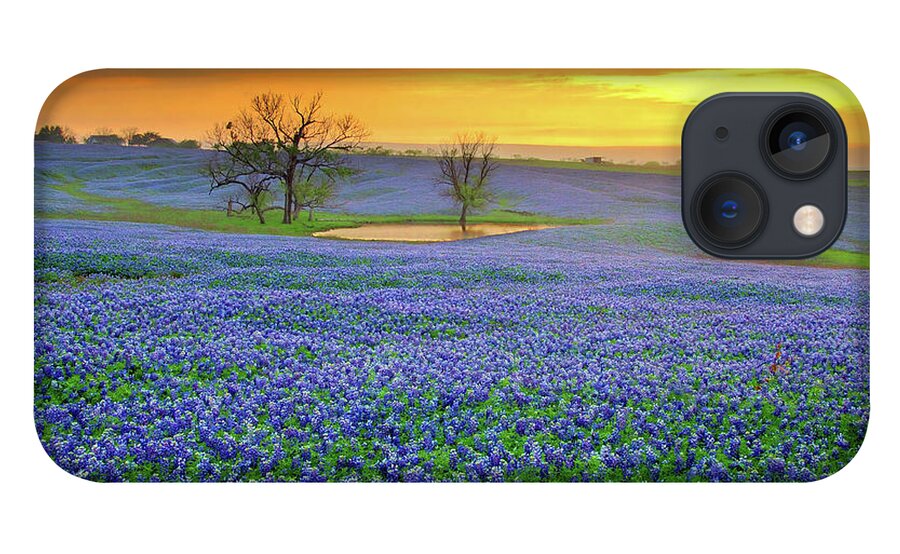 Texas Bluebonnets iPhone 13 Case featuring the photograph Field of Dreams Texas Sunset - Texas Bluebonnet wildflowers landscape flowers by Jon Holiday