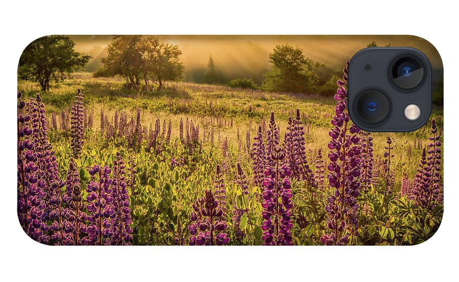 Amazing New England Artworks iPhone 13 Case featuring the photograph Fields Of Lupine by Jeff Sinon