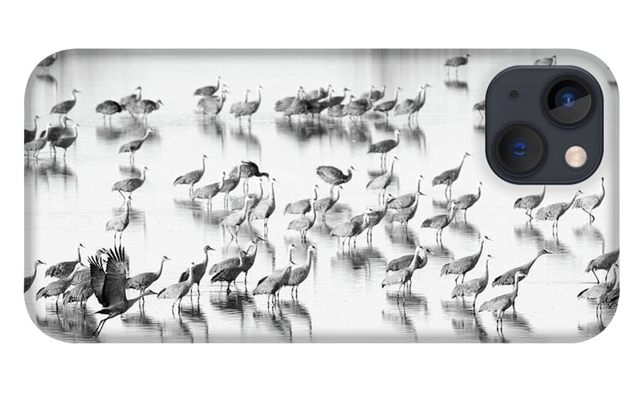 Richard E. Porter iPhone 13 Case featuring the photograph First One Off - Muleshoe Wildlife Refuge, Texas by Richard Porter