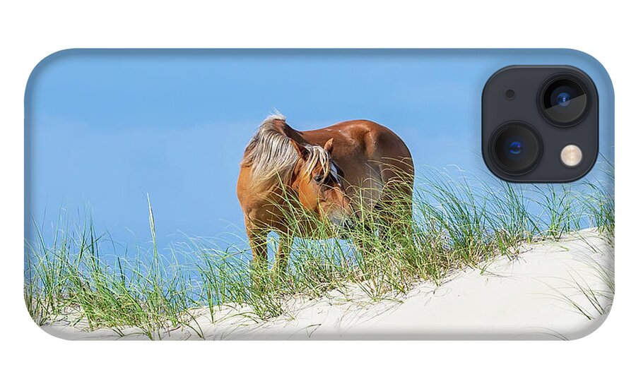 Animals iPhone 13 Case featuring the photograph Flaxen Maned Mare by Donna Twiford