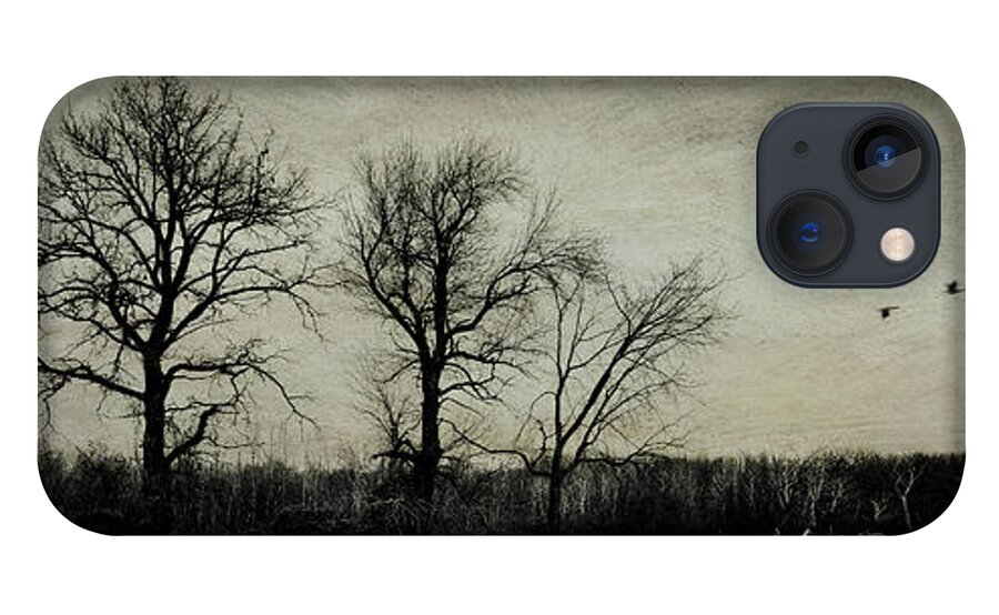 Canada Goose iPhone 13 Case featuring the photograph Flight by RicharD Murphy