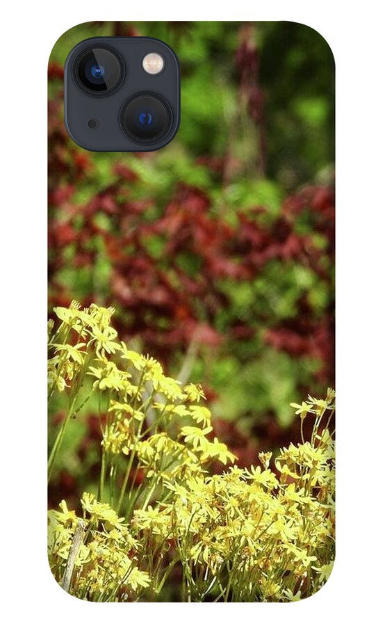 Gold iPhone 13 Case featuring the photograph Floral Sunshine by Kathy Chism