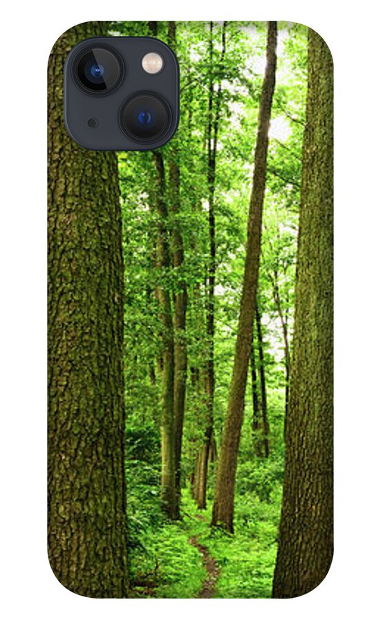 Scenics iPhone 13 Case featuring the photograph Footpath Between The Trees by Tomchat