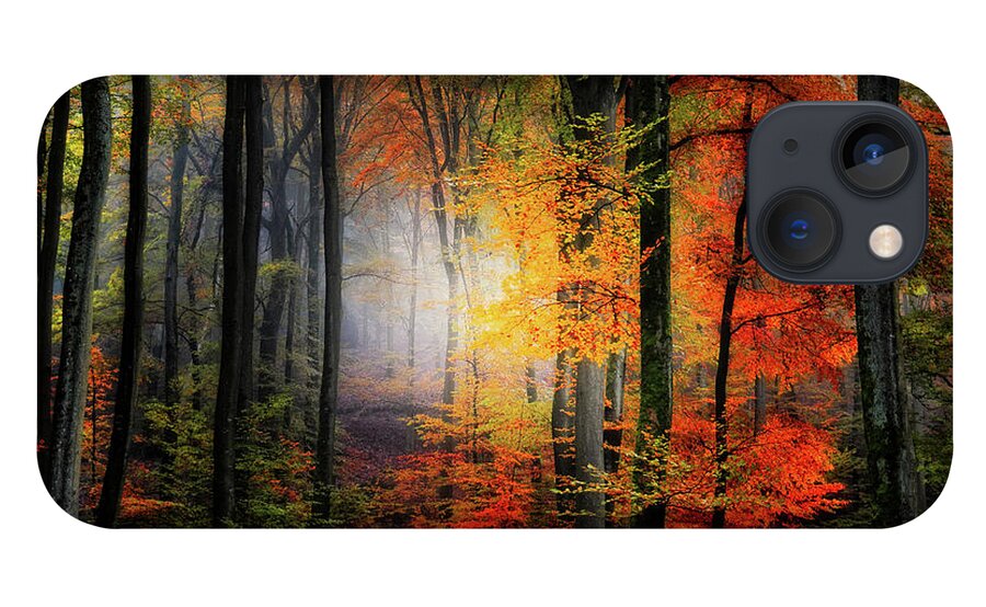 Forest iPhone 13 Case featuring the photograph Forest Light by Philippe Sainte-Laudy