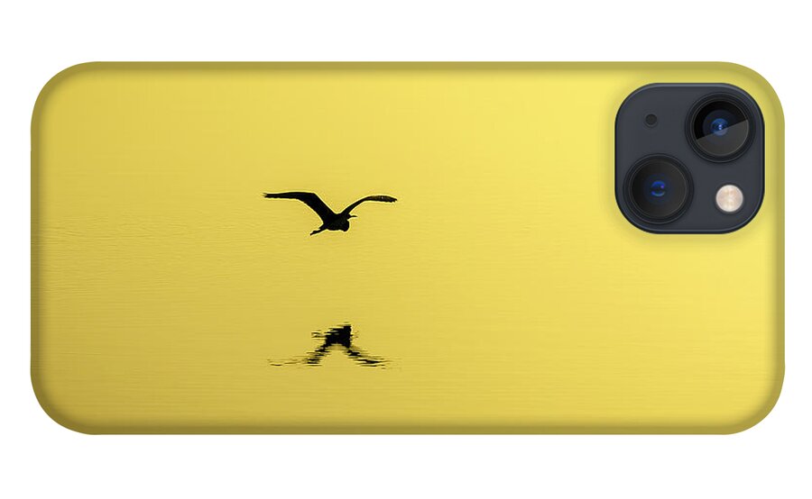 Bird iPhone 13 Case featuring the photograph Free by Bryan Williams
