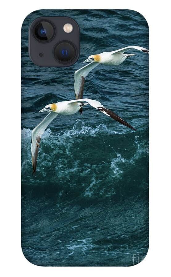 Scotland iPhone 13 Case featuring the photograph Gannets Over Wild Atlantic by Andreas Berthold