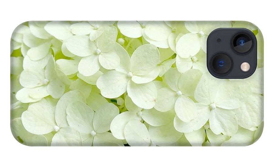 Floral Photograph iPhone 13 Case featuring the photograph Garden Hydrangea Bloom by Carol Riddle