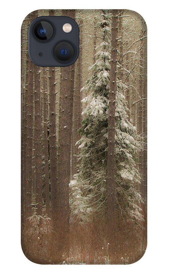 George Washington Pines iPhone 13 Case featuring the photograph George Washington Pines 2 by Joe Kopp