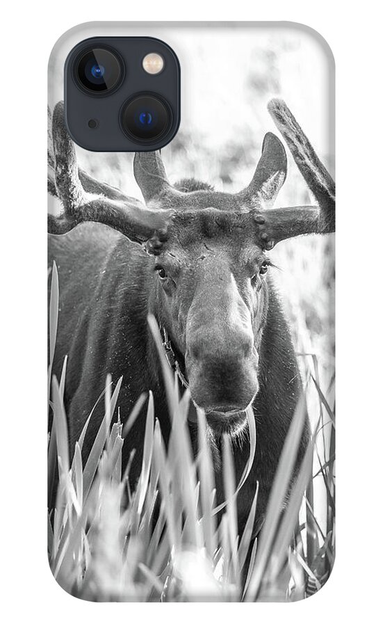 Grand iPhone 13 Case featuring the photograph Grand Entry by Kevin Dietrich