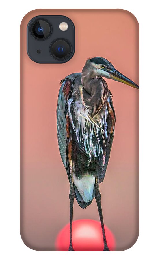 Heron iPhone 13 Case featuring the photograph Great Ball of Fire by JASawyer Imaging