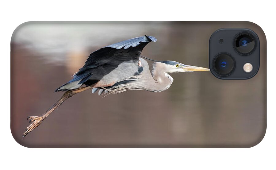 Great Blue Heron iPhone 13 Case featuring the photograph Great Blue Heron 2019-11 by Thomas Young