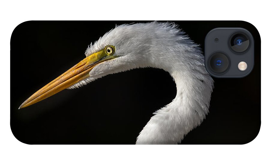 Egret iPhone 13 Case featuring the photograph Great Egret Portrait by Lisa Manifold