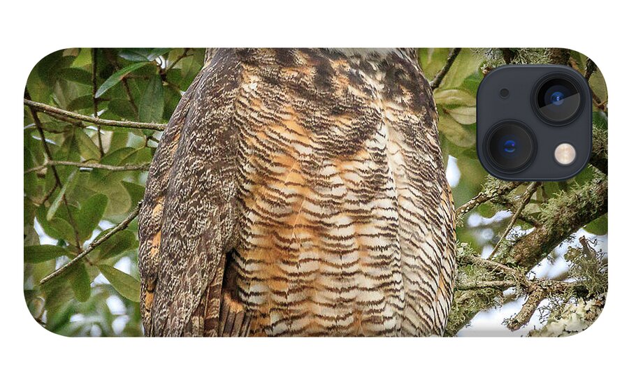 Greathornedowl iPhone 13 Case featuring the photograph Great Horned Owl by JASawyer Imaging