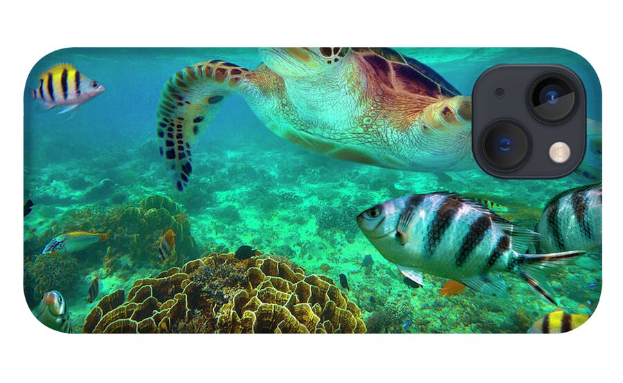 00586422 iPhone 13 Case featuring the photograph Green Sea Turtle And Sergeant Major Damselfish Group, Negros Oriental, Philippines by Tim Fitzharris