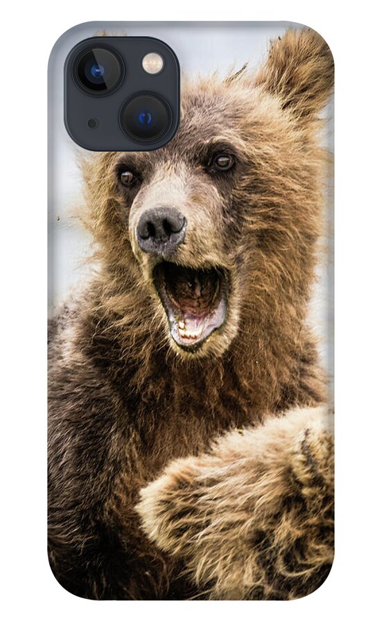 Grizzly iPhone 13 Case featuring the photograph Grizzly cubs looking for their mum by Lyl Dil Creations