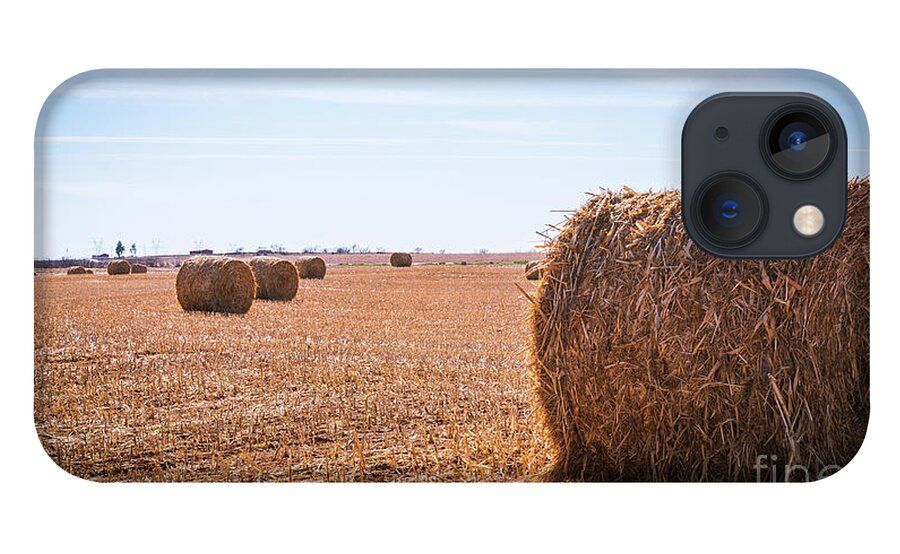 Hay iPhone 13 Case featuring the photograph Hay Rolls by Dheeraj Mutha