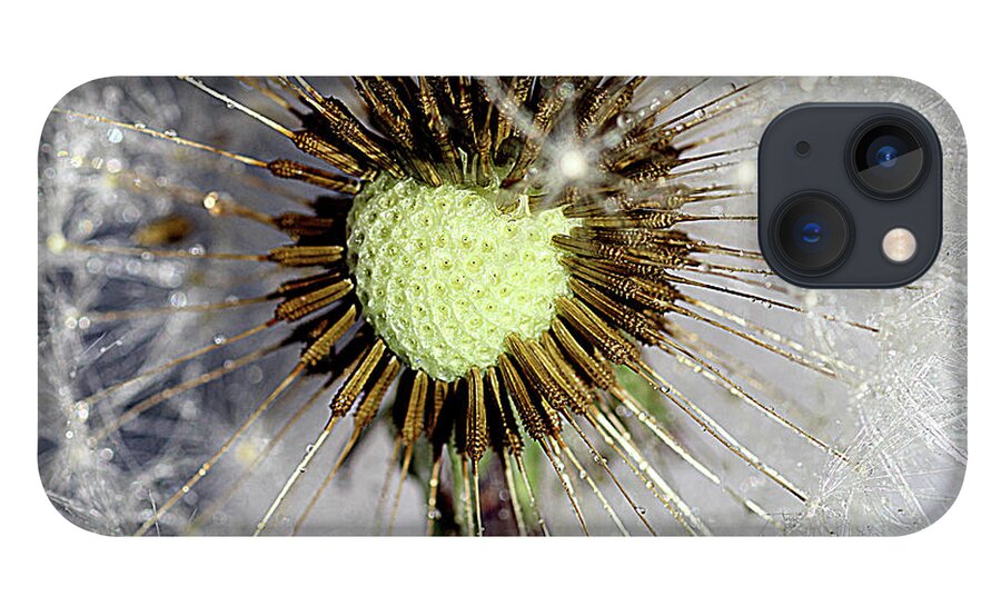 Heart Shape iPhone 13 Case featuring the photograph Heart of the dandelion by Martin Smith
